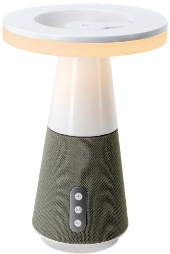Bluetooth music table light
