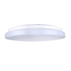 Ceiling Light-3CCT-ECO-R